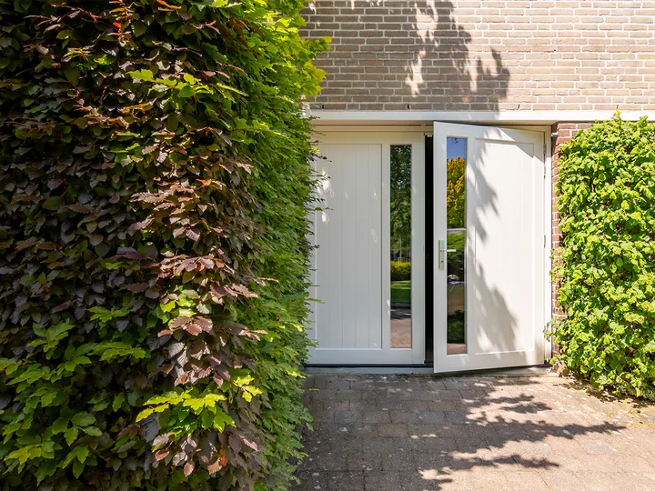Garagedeur met glas Den Bosch